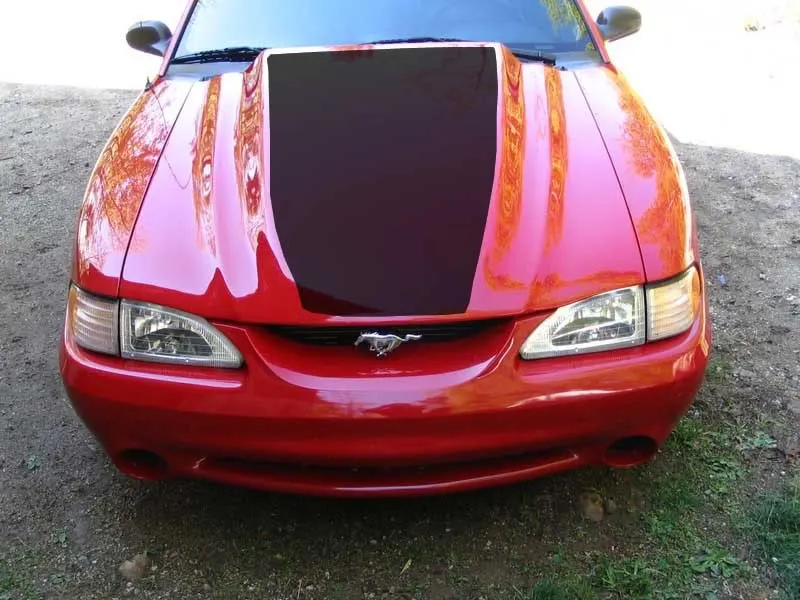 Picture333hood1.webp