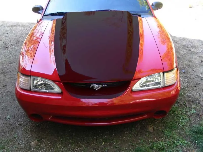 Picture333hood2.webp