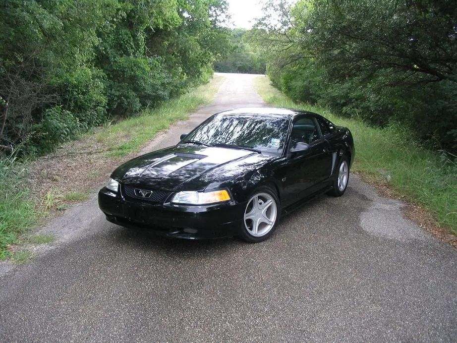 picture3415jd.webp