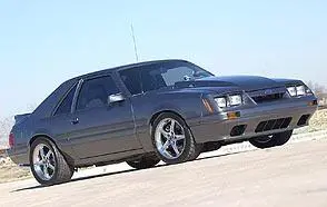 Picture382-1.webp