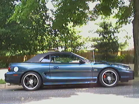 Picture5_edited.webp