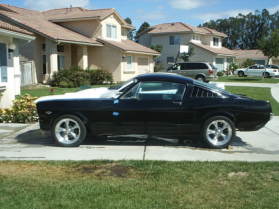 Picture_009.webp