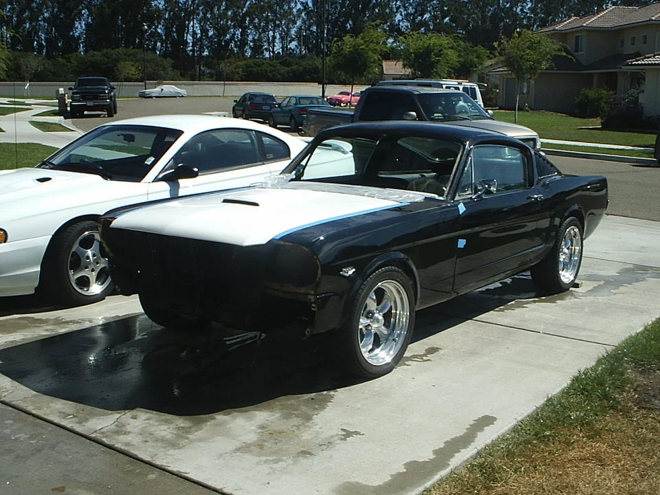 Picture_011.webp