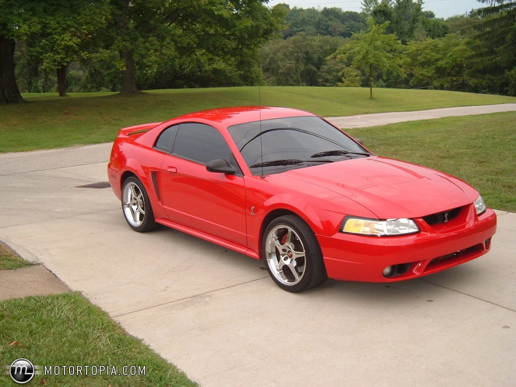 Picture_020.webp