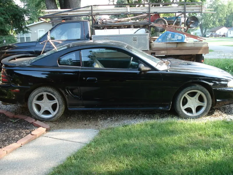 Picture_162.webp