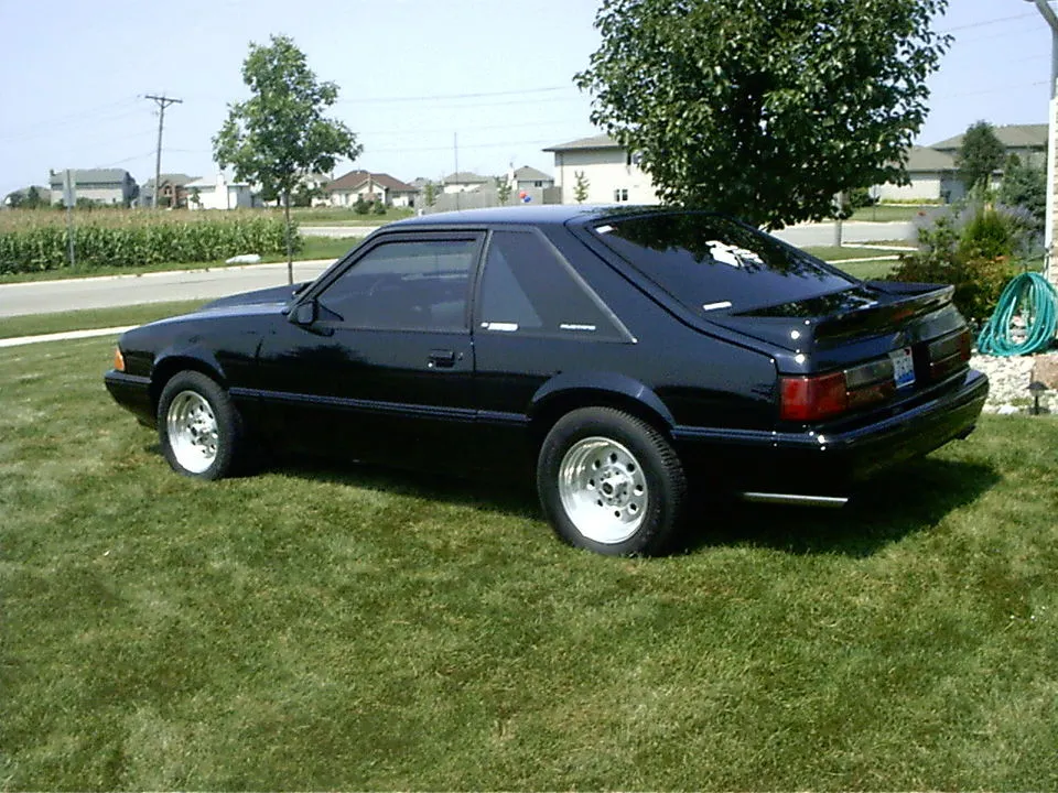Picture_313.webp