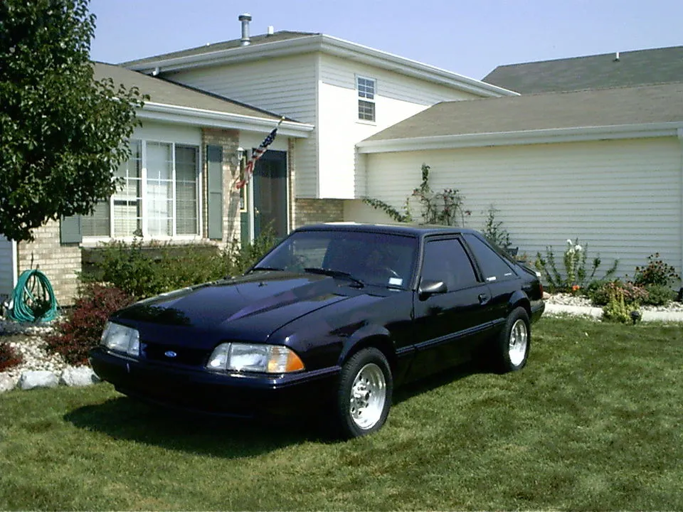 Picture_315.webp