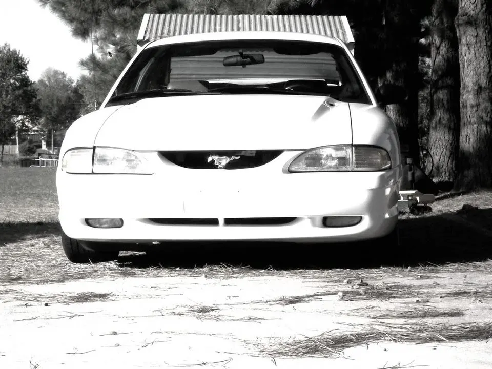 PictureorVideo200.webp