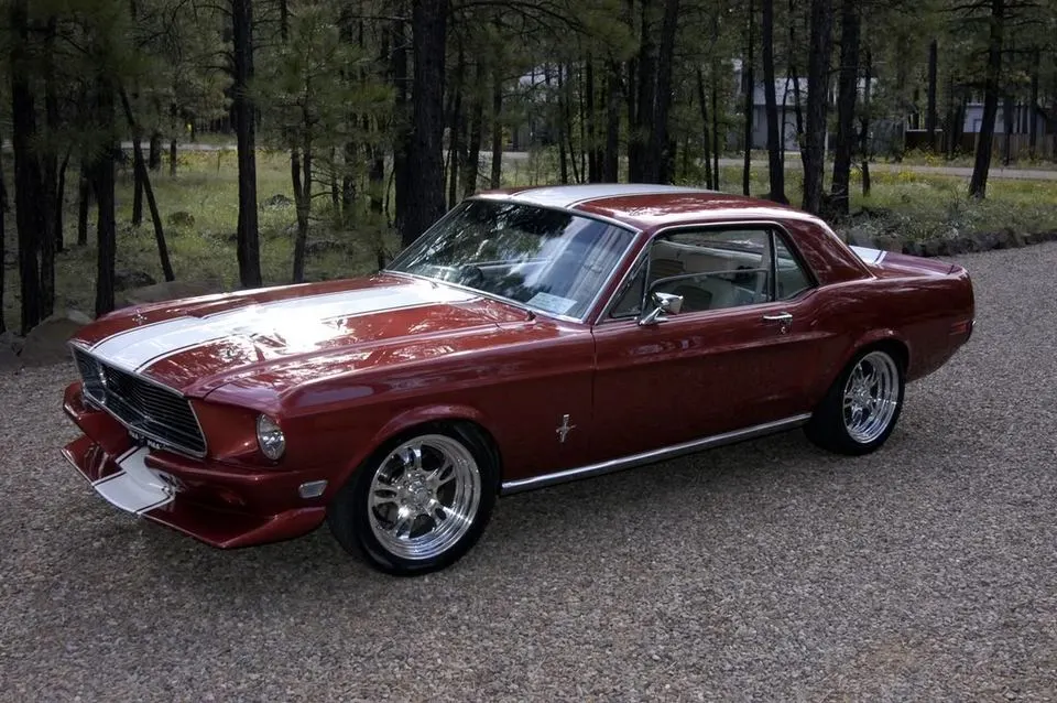 Pinetop-06drqtr.webp