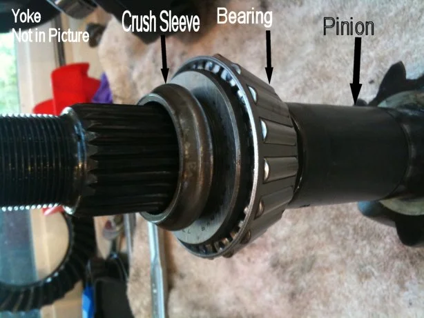 Pinion003.webp