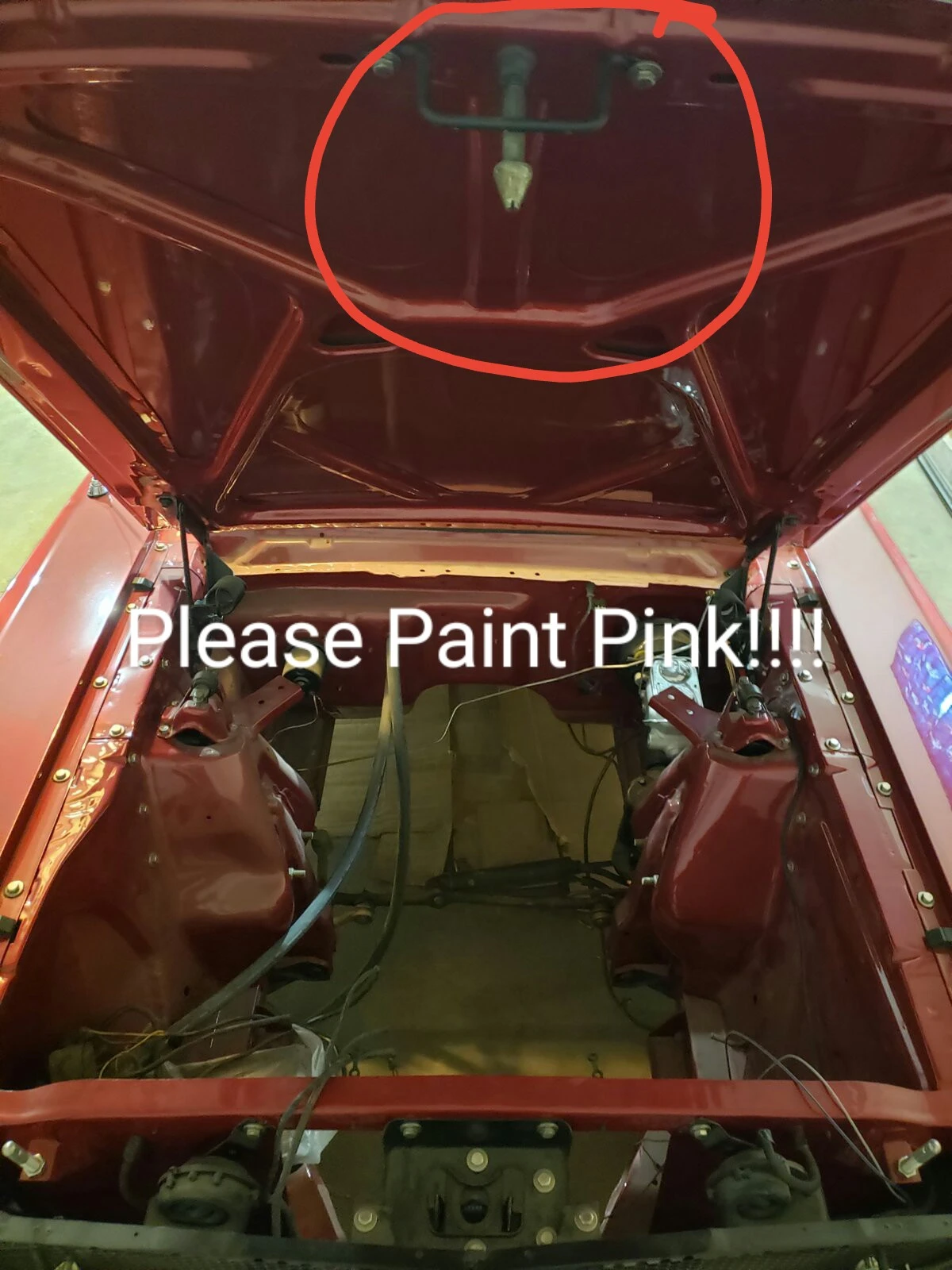 Please Paint Pink.webp