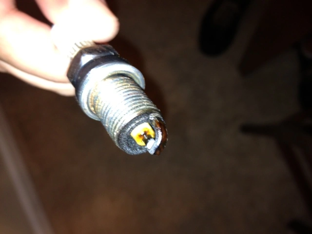 plug2.webp