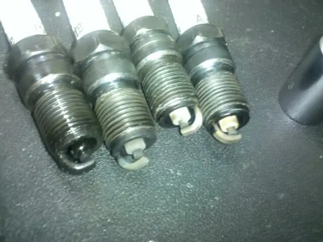 plugs.webp
