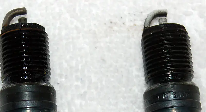 plugs.webp