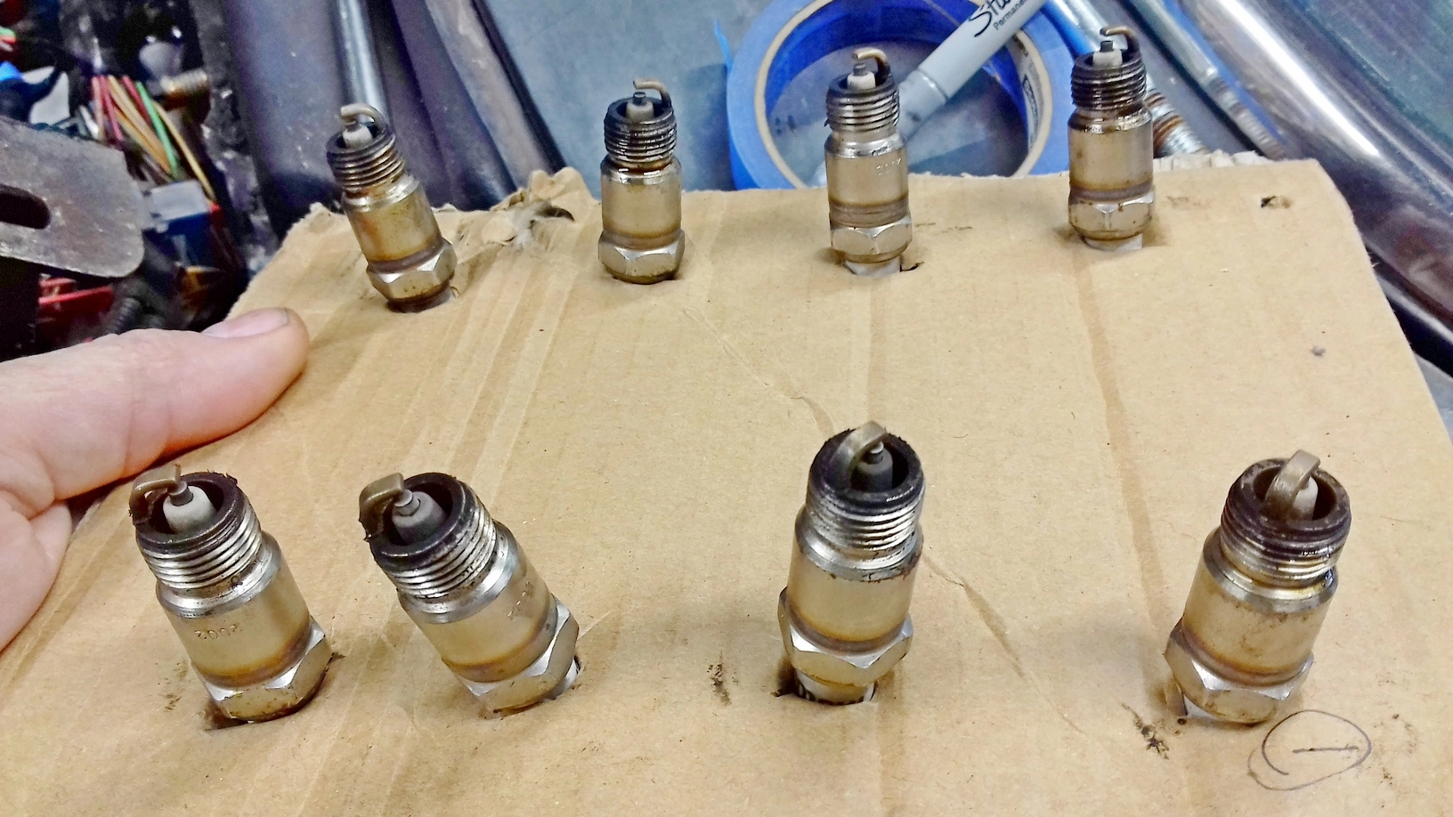 plugs.webp