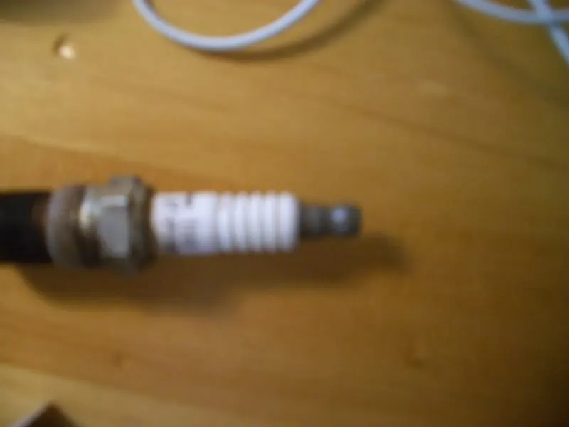 plugs001.webp