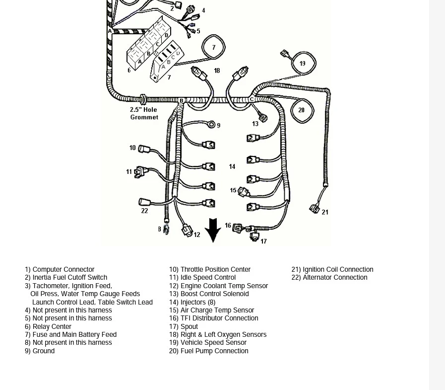 PM-75 harness.jpg