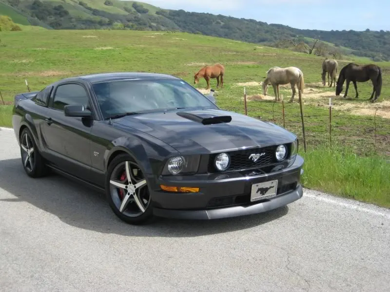 Poniesfront5.webp