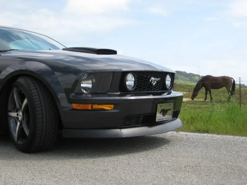 Poniesfrontclose.webp