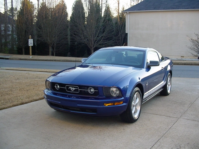 Pony%20from%20the%20front.webp