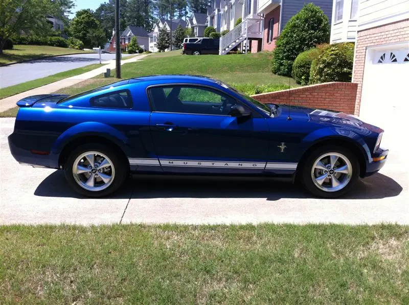 Pony1.webp