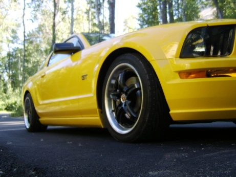 pony1.webp