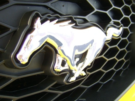 pony2.webp