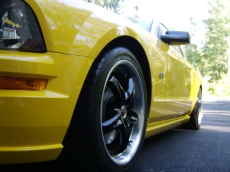 pony3.webp