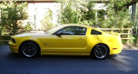 pony6.webp