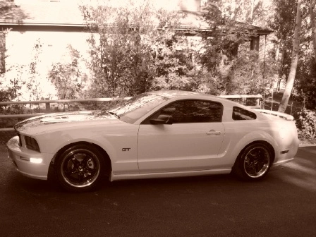 pony8.webp