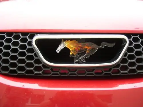 pony_emblem_002.webp
