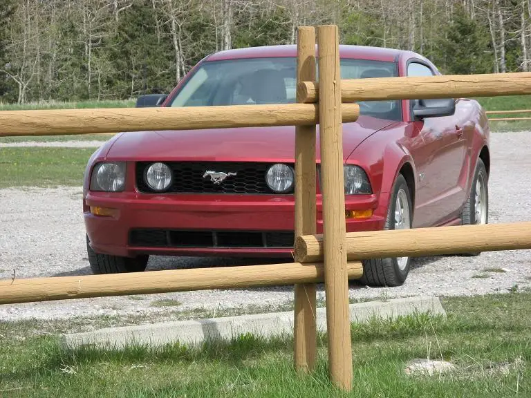 PonyCorraled.webp