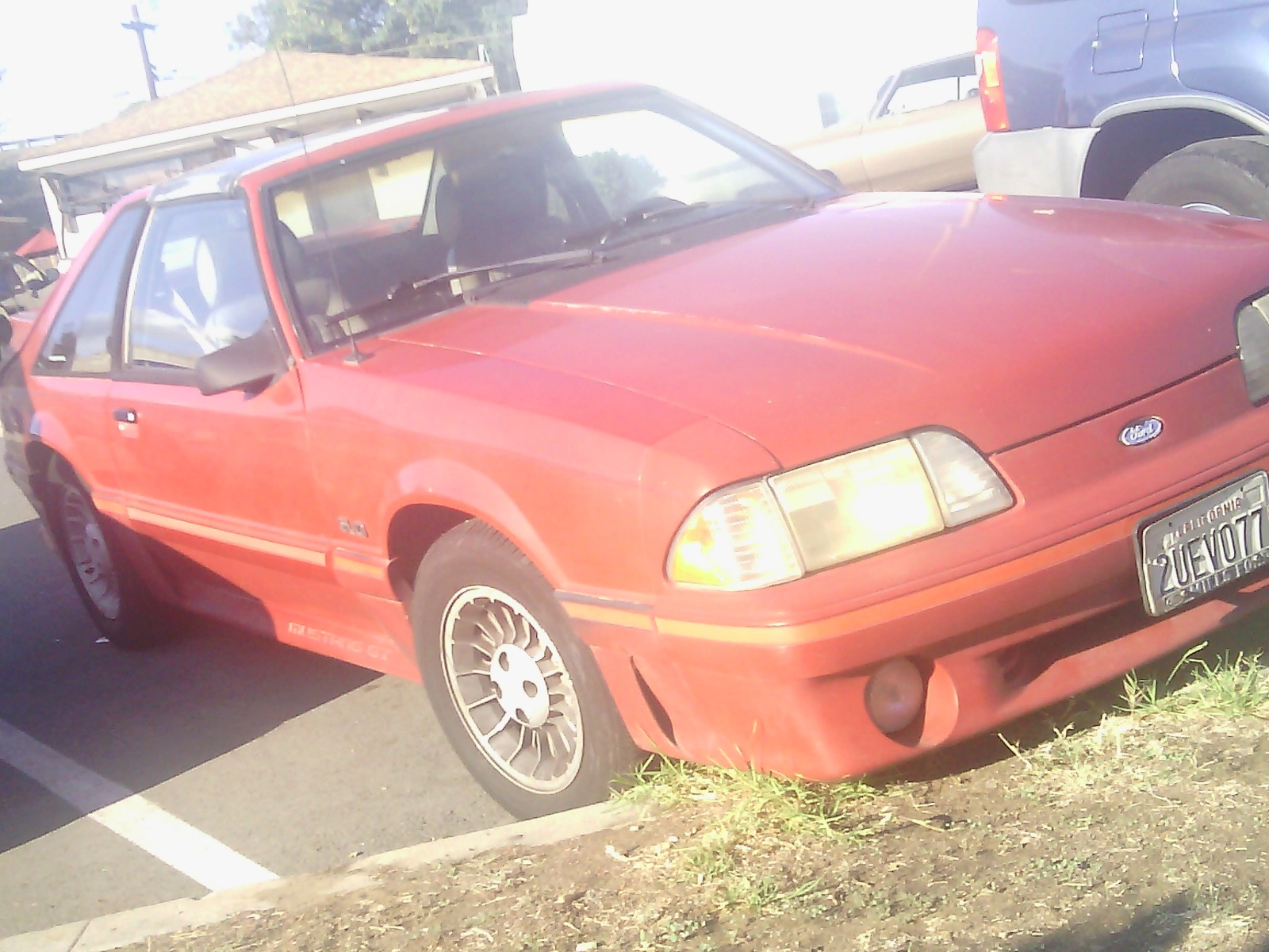 pops mustang.webp