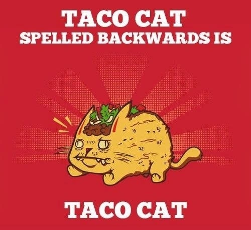 post-14725-Taco-cat-backwards-is-still-ta-mSjr.webp