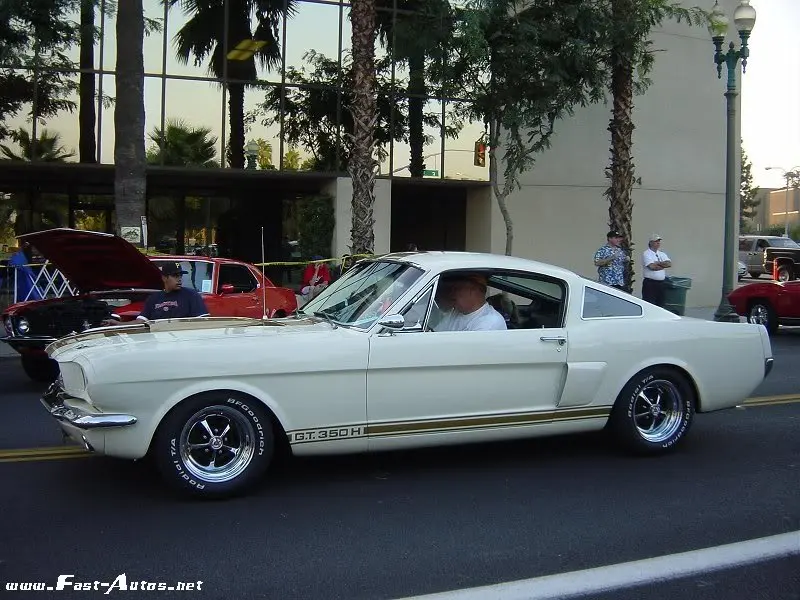 post_2_1106280011.webp