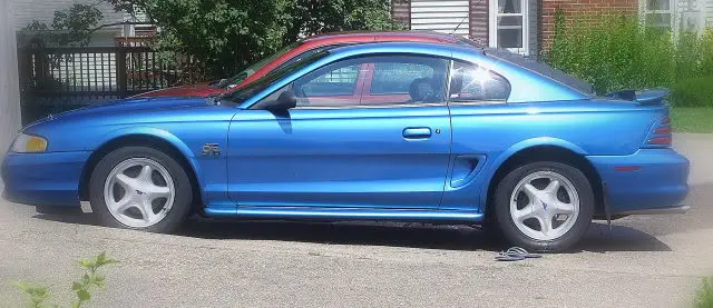 prettystang.webp