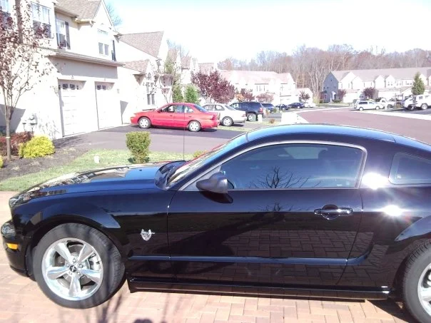 profile.webp