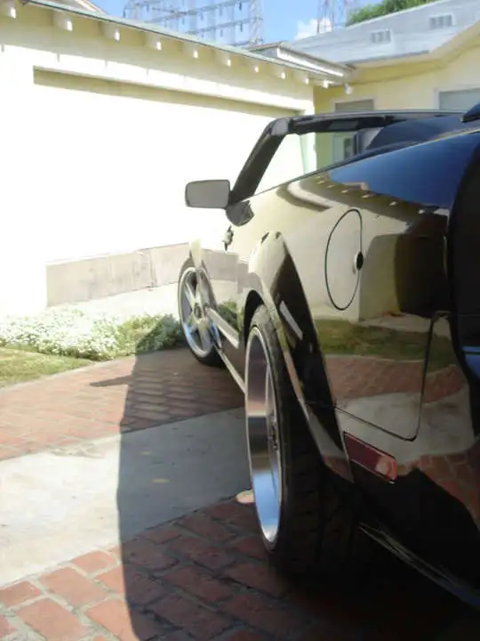 profile_1.webp