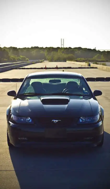 Project19-17-0924-2.webp