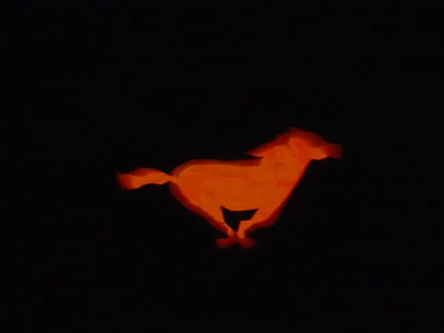 pumkins002.webp