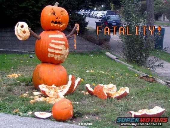 pumpkin.webp