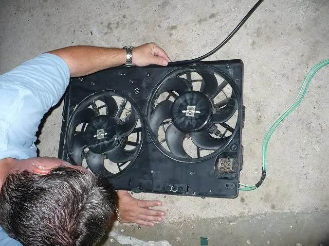 puttingonhose.webp