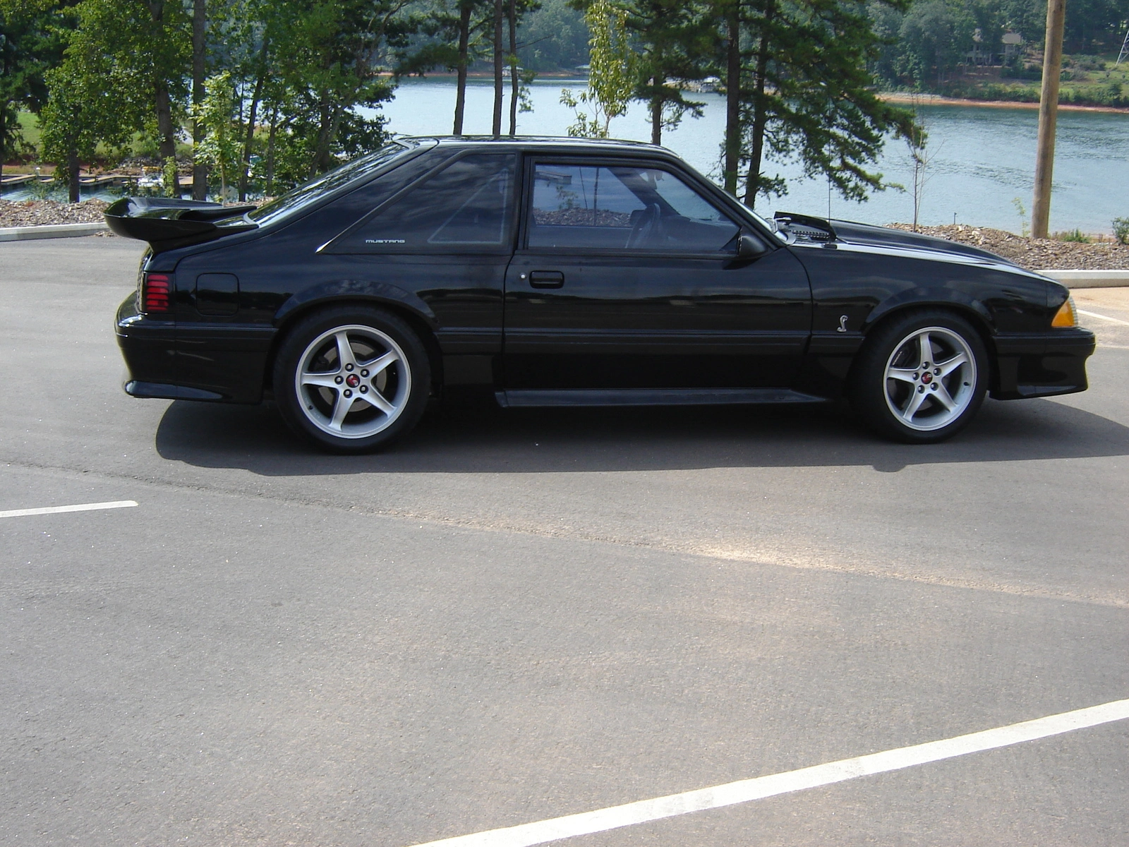 Py photos 93 stang gt 013.webp