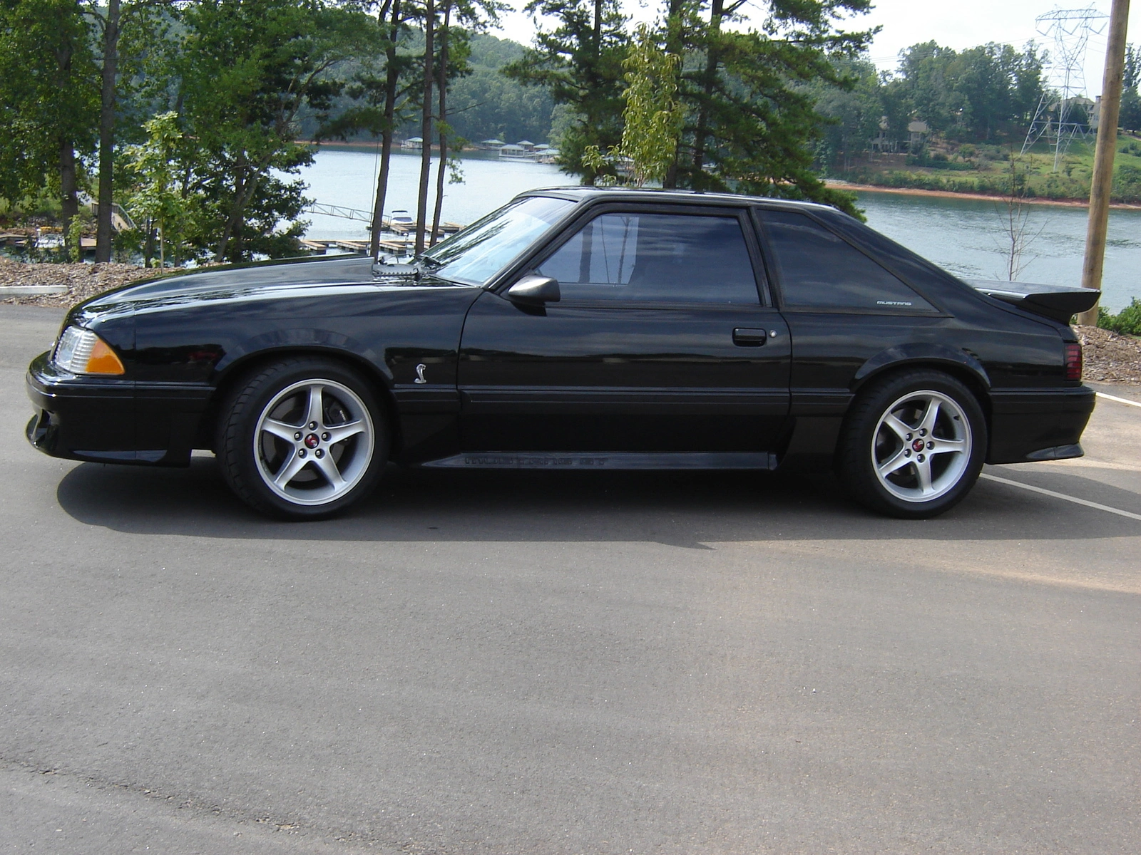 Py photos 93 stang gt 015.webp