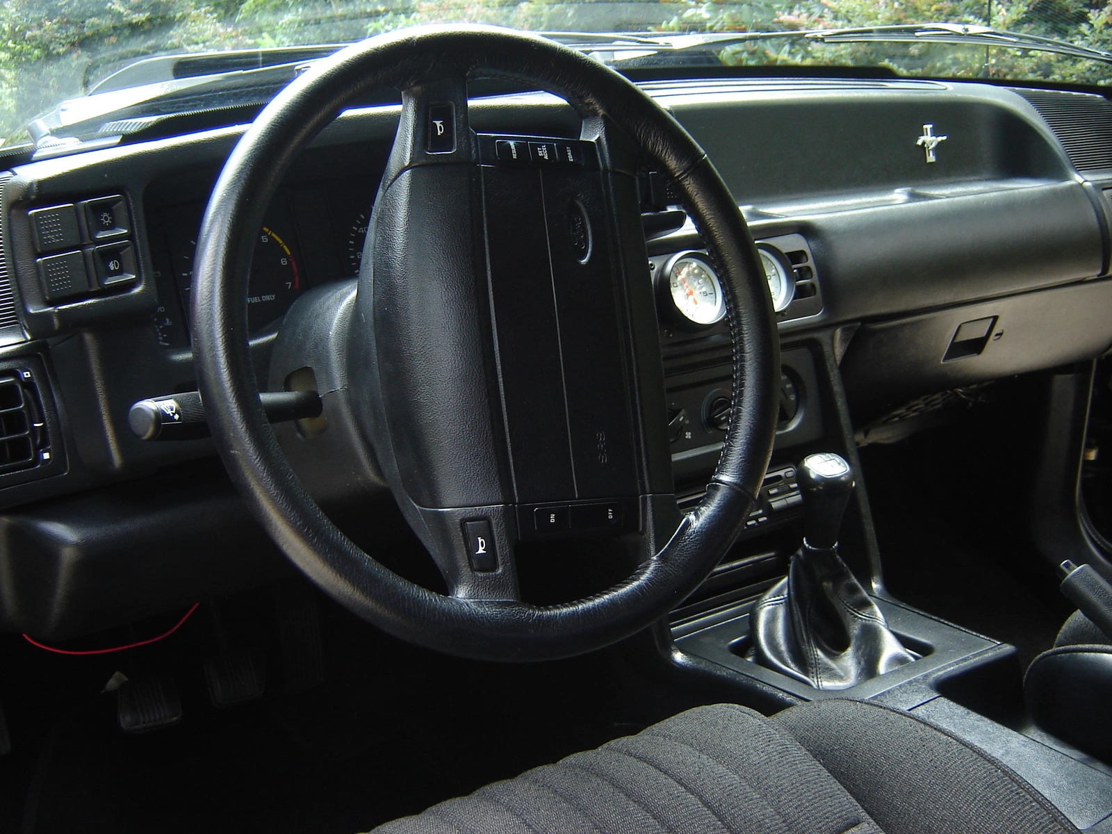 Py photos 93 stang gt 019.webp