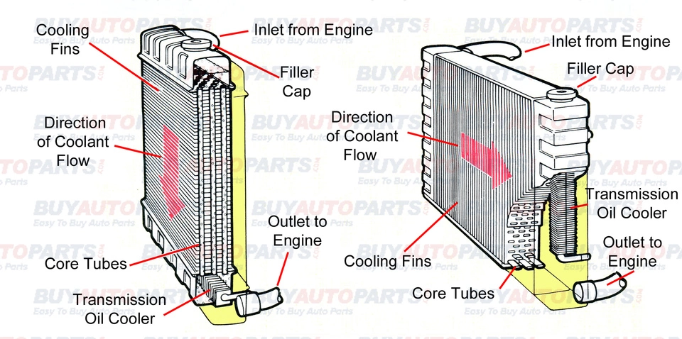 radiator-cutaway.webp