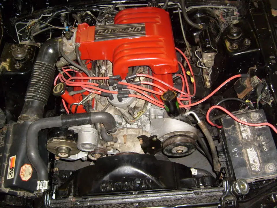 Random2009059.webp