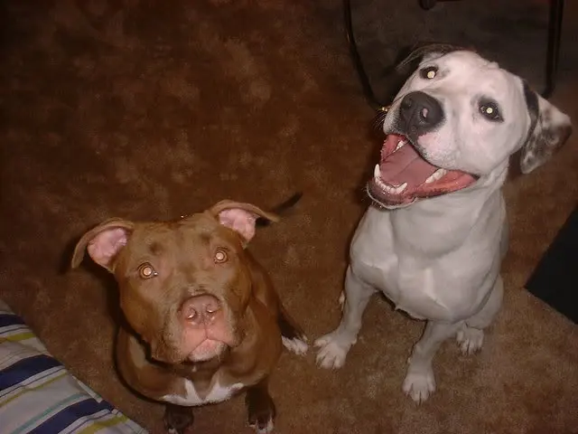 randoms038.webp