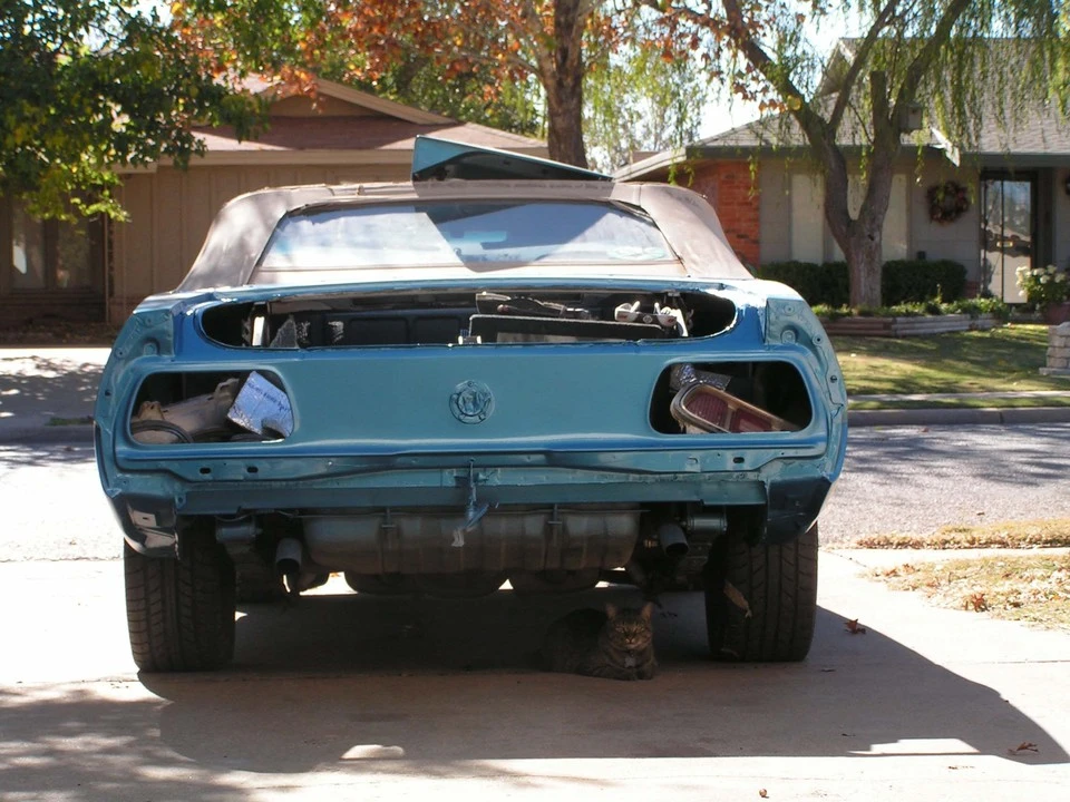 Raptorcarwideshot.webp