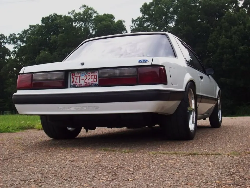 rear-1.webp